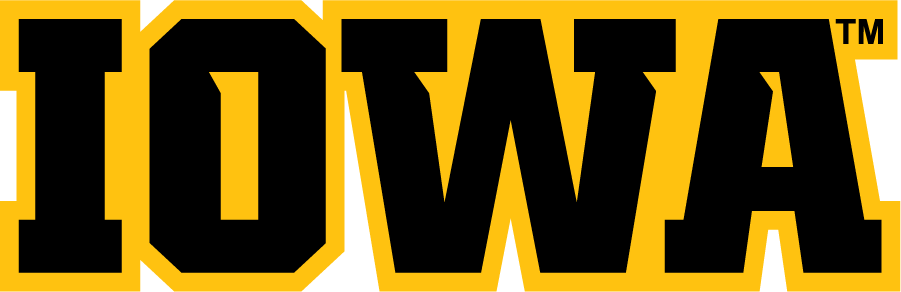 Iowa Hawkeyes 2012-Pres Wordmark Logo diy iron on heat transfer